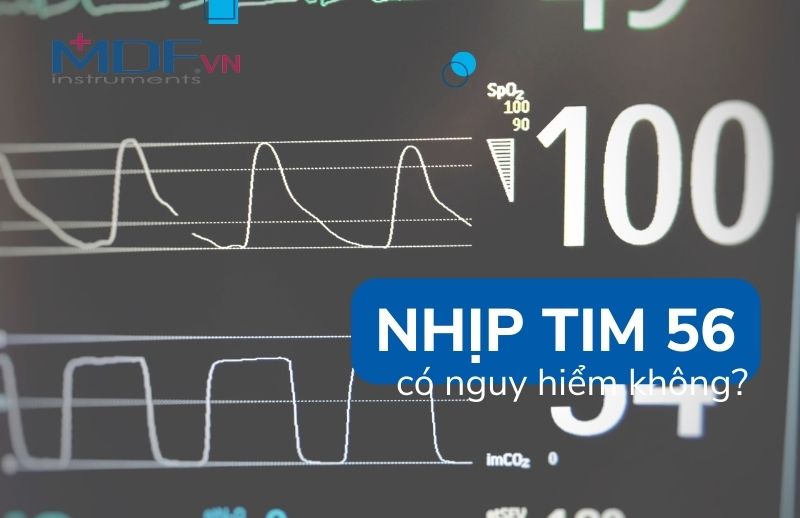 Nhịp Tim 56 Có Nguy Hiểm Không? Hiểu Rõ Tình Trạng Tim Mạch Của Bạn